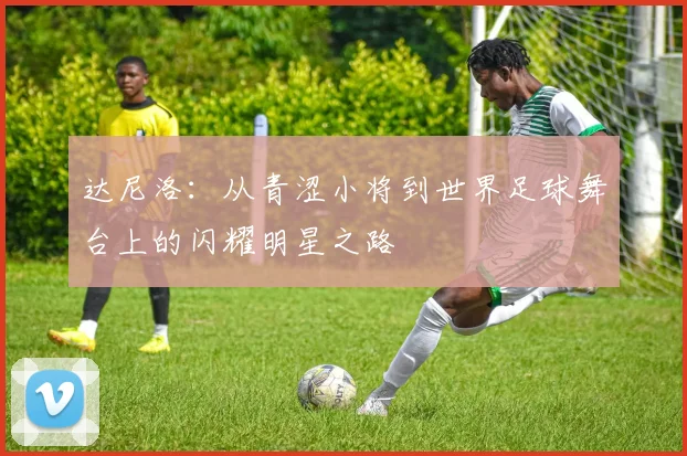 达尼洛：从青涩小将到世界足球舞台上的闪耀明星之路