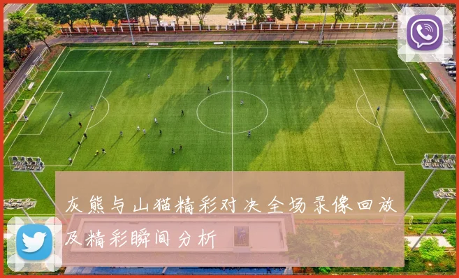 灰熊与山猫精彩对决全场录像回放及精彩瞬间分析